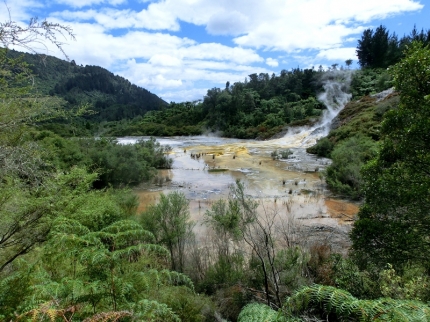 waitomo (43)